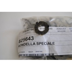 Rondella marmitta Muffler...