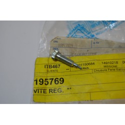 Vite registro carburatore...