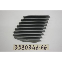 Griglia argento fiancata...