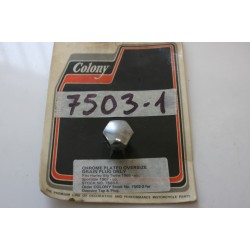 Tappo scarico olio oversize...