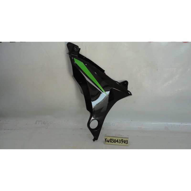 Fianchetto copertura telaio dx Frame cover right Kawasaki Z 800 13 16