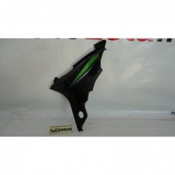 Fianchetto copertura telaio sx Frame cover left Kawasaki Z 800 13 16