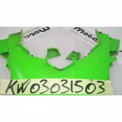 Carena cover stop Taillight cover fairing Kawasaki Z 1000 07 09