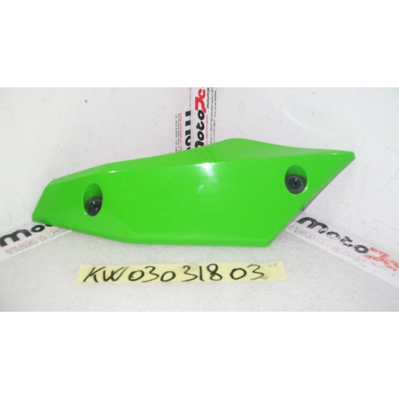 Carena puntale sinistro Tip left fairing Kawasaki Z 1000 07 09
