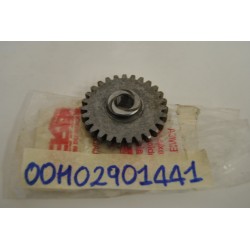 Ingranaggio intermedio...