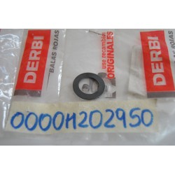 Rondella leva avviamento...