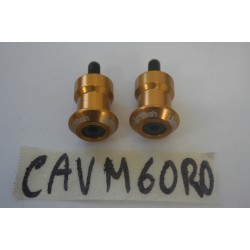 Coppia nottolini oro M6...