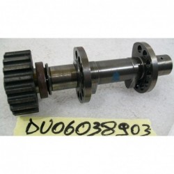 Asse a camme verticale aspirazione Camshaft intake Ducati 998 999