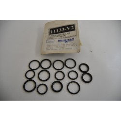 Kit o-ring asta punterie...