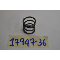 Molla cover asta spinta...