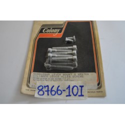 Viti montaggio leva...