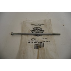 Vite motorino avviamento...