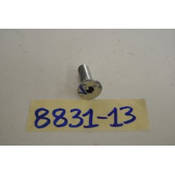 Vite perno disco Disc screw...