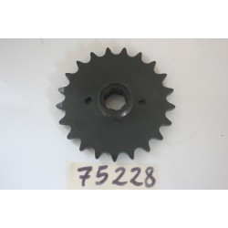 Pignone catena Z21...