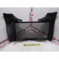 Griglia Protezione Radiatore Radiator Guard Bmw F 800 Gs 08 17
