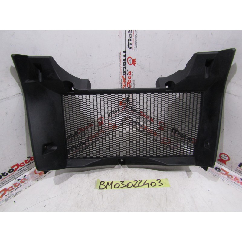 Griglia Protezione Radiatore Radiator Guard Bmw F 800 Gs 08 17
