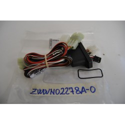 Cablaggio antifurto...