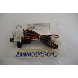 Cablaggio antifurto con...