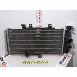 Radiatore acqua Water radiator BMW F 800 GS 08 17 ATTACCHI ROTTI