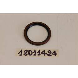 Paraolio lato volano...