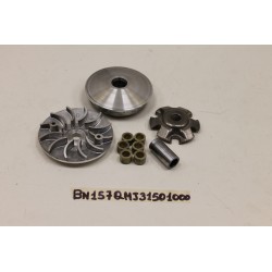 Gruppo variatore Variator...