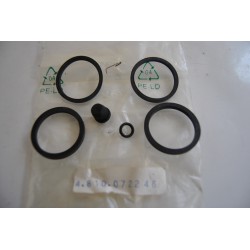 Malaguti Ciak Kit revisione...