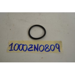 Motom Trancity O-ring...