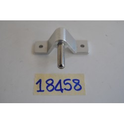 Agugliotto maschio per...