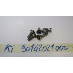 KTM Duke 125 17 20 Bulloni...
