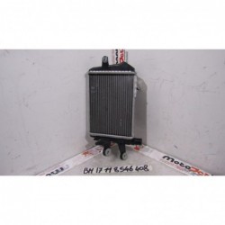 Radiatore acqua sinistro Water radiator left BMW R 1200 GS 17 18