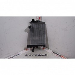 Radiatore acqua sinistro Water radiator left BMW R 1200 GS 17 18