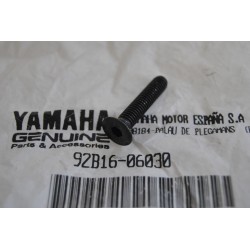 Yamaha TZR 50 05 12 Xpower...