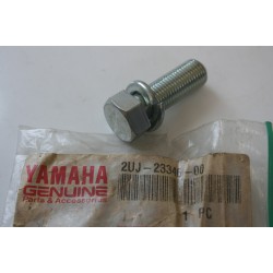 Yamaha Virago 250 Vite...