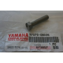 Yamaha JF 1000 2004 Vite...
