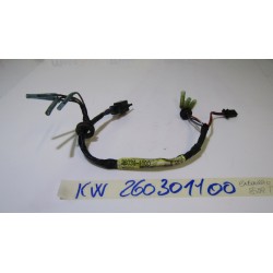 Kawasaki KLE 500 01 04...