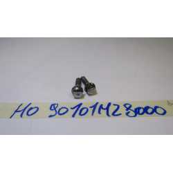 Honda VT 750 C2 07 08...