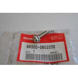 Honda XR 250 96 03 Vite...