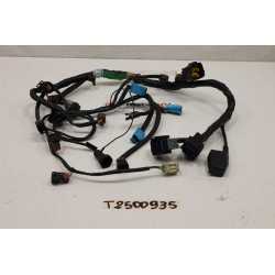 Triumph Tiger 885i 93 98...
