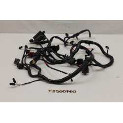 Triumph Sprint RS 955 99 04...