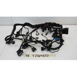 Impianto elettrico ABS...
