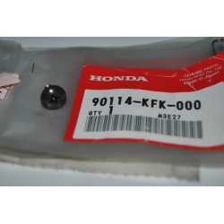 Honda CB 600 F Hornet 98 06...