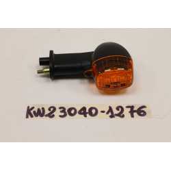 Kawasaki ZX9R 98 99 Freccia...