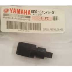 Yamaha Fuoribordo 5HP 4HP...