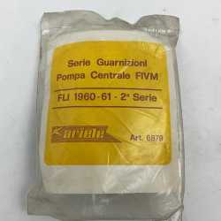 Serie guranizioni pompa...