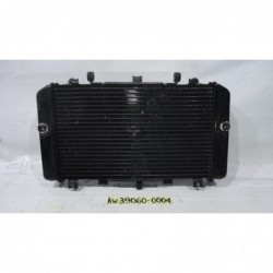 Radiatore acqua Water radiator Kawasaki Z 1000 03 06