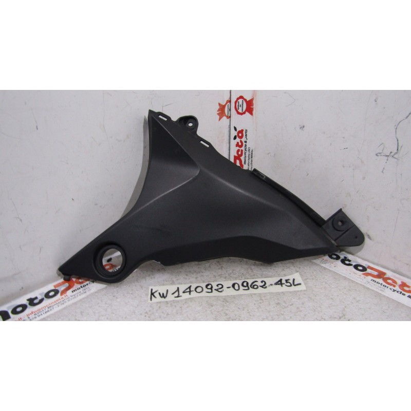 Fianchetto telaio sx Frame fairing left Kawasaki Z 800 13 16