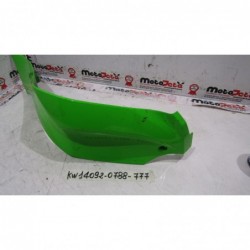 Fianchetto sottoserbatoio dx Under tank fairing Kawasaki ZX 10 R 11 15 GRAFFI 