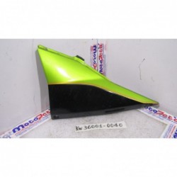 Fianco sottosella sx Side panel Kawasaki Z 750 03 06 RIVERNICIATO ATTACCO ROTTO