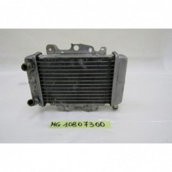 Radiatore acqua Water radiator Malaguti Centro 125 160 07 11