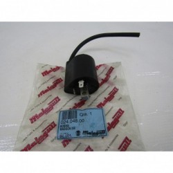 Bobina alta tensione High voltage coil Malaguti Madison 250 99 01 MOTORE YAMAHA 